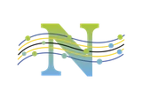 NEUROTTIMO SDN